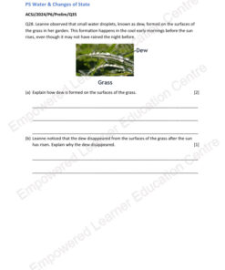 2025 P6 Science Topical Prelims MCQ topical prelims 2024 oeq with suggested answers and explanations