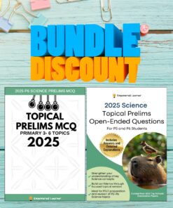 bundlediscount2025