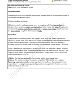 2026prelimsanswer productimage2