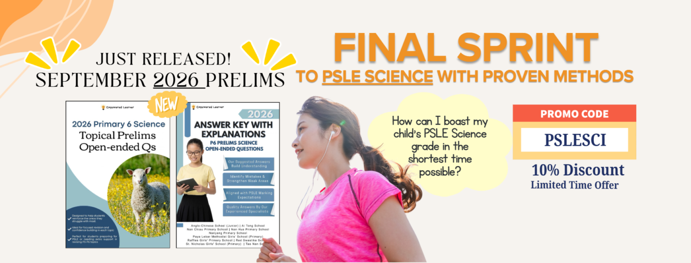 banner finalsprint2026