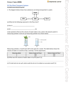 p5scienceoeqsampleqs